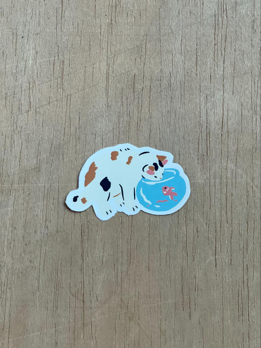 Paws and Fins
